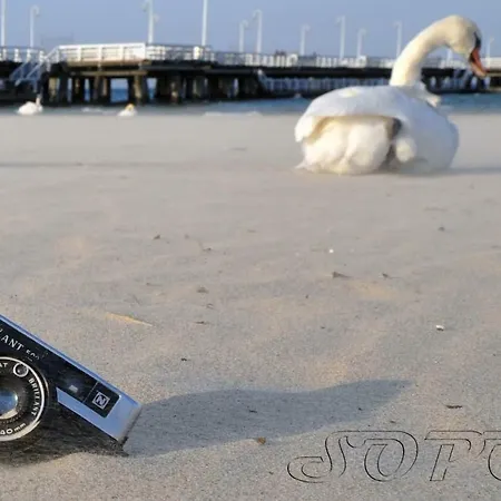 Perla Baltyku - 4 Osobowy W Sopocie Σόποτ